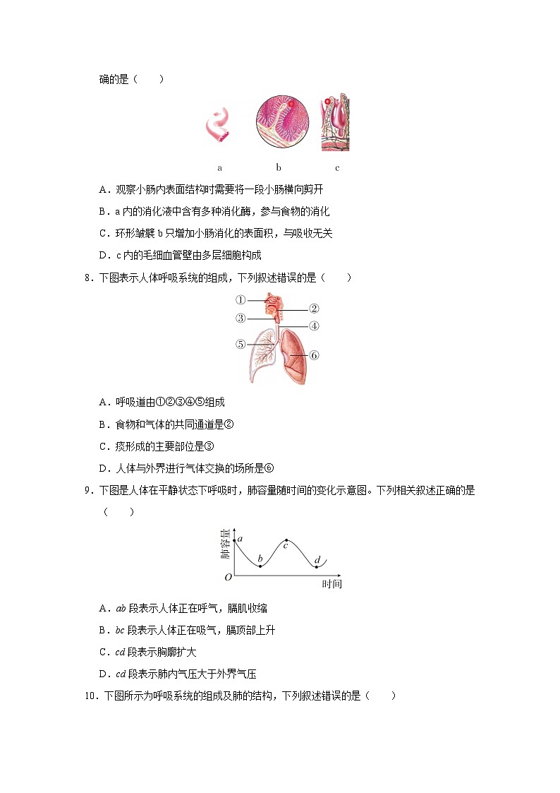 2024-2025学年人教版生物七年级下册期末模拟练习（含答案）第3页