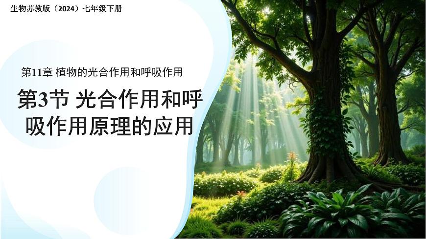 4.11.3光合作用和呼吸作用原理的应用 课件 生物苏教版（2024）七年级下册第四单元第1页