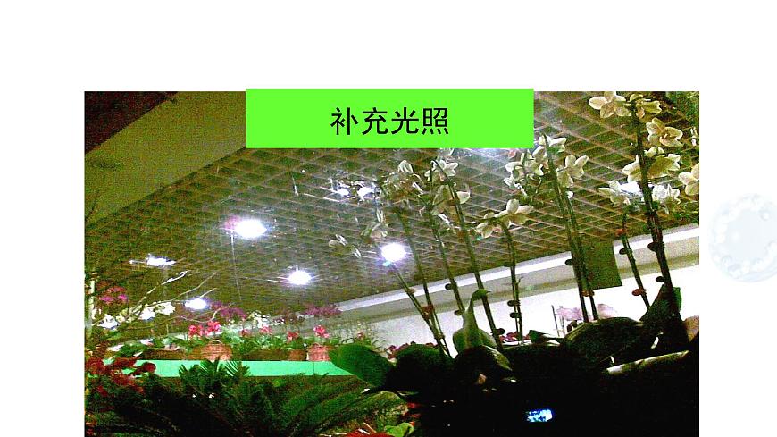 4.11.3光合作用和呼吸作用原理的应用 课件 生物苏教版（2024）七年级下册第四单元第7页