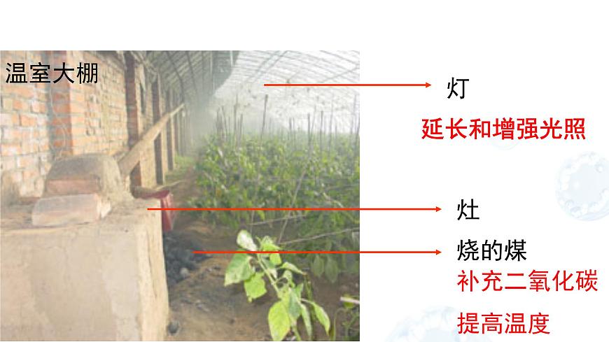 4.11.3光合作用和呼吸作用原理的应用 课件 生物苏教版（2024）七年级下册第四单元第8页