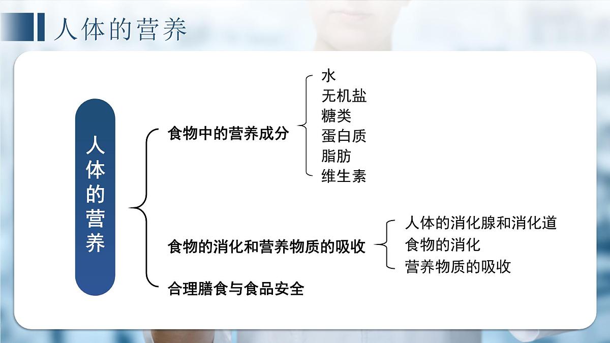 七年级下册期中复习 课件 生物苏教版（2024）七年级下册第3页