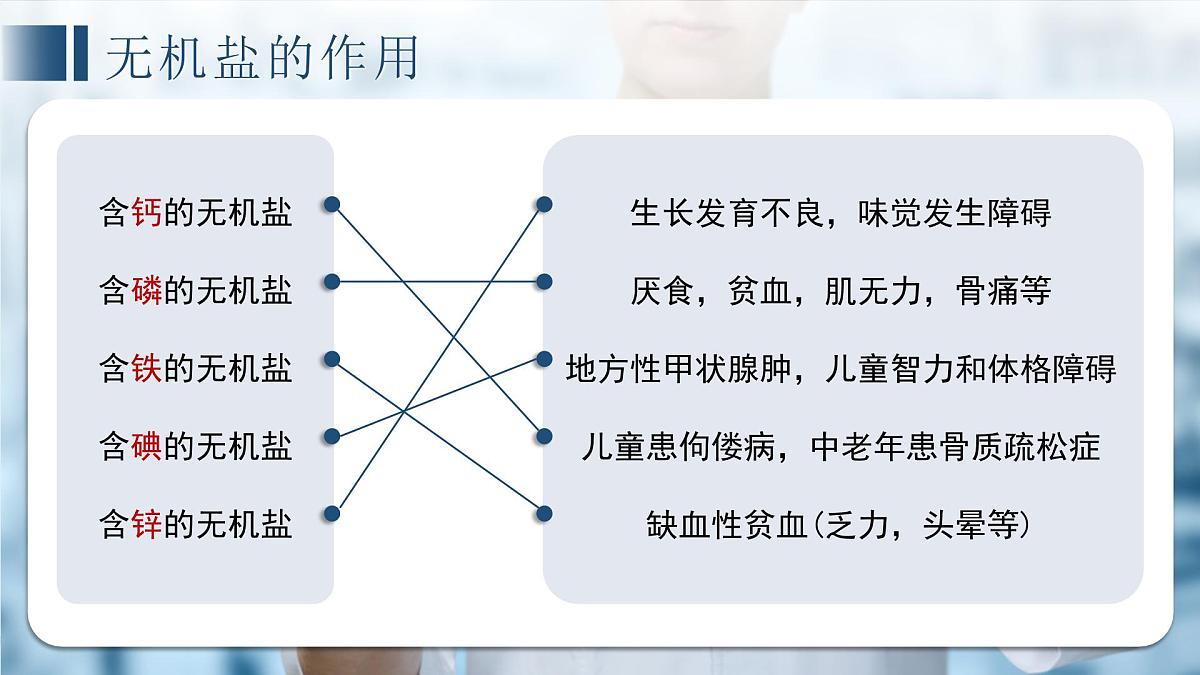 七年级下册期中复习 课件 生物苏教版（2024）七年级下册第6页