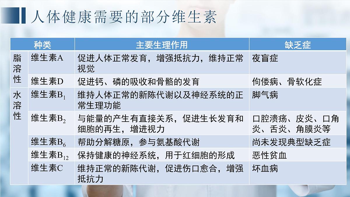 七年级下册期中复习 课件 生物苏教版（2024）七年级下册第7页