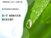 5.12.3 植物參與生物圈中的水循環(huán) 課件 生物蘇科版（2024）七年級(jí)下冊(cè)第五單元