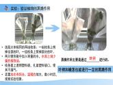 5.12.3 植物參與生物圈中的水循環(huán) 課件 生物蘇科版（2024）七年級(jí)下冊(cè)第五單元
