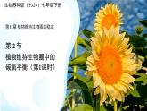 5.12.2 植物維持生物圈中的碳氧平衡 第1課時(shí)課件 生物蘇科版（2024）七年級(jí)下冊(cè)第五單元