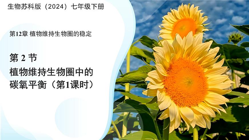 5.12.2 植物维持生物圈中的碳氧平衡 第1课时课件 生物苏科版（2024）七年级下册第五单元第1页