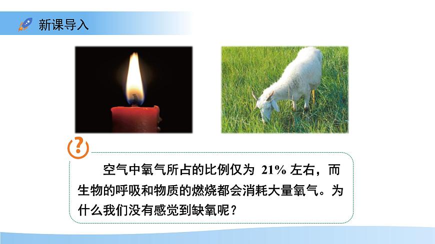 5.12.2 植物维持生物圈中的碳氧平衡 第1课时课件 生物苏科版（2024）七年级下册第五单元第3页