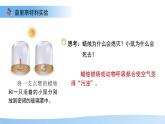 5.12.2 植物維持生物圈中的碳氧平衡 第1課時(shí)課件 生物蘇科版（2024）七年級(jí)下冊(cè)第五單元