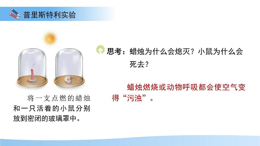 5.12.2 植物维持生物圈中的碳氧平衡 第1课时课件 生物苏科版（2024）七年级下册第五单元第4页