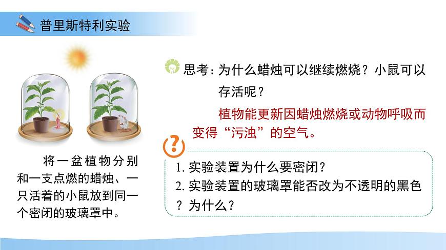 5.12.2 植物维持生物圈中的碳氧平衡 第1课时课件 生物苏科版（2024）七年级下册第五单元第5页