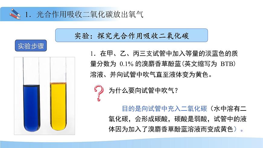 5.12.2 植物维持生物圈中的碳氧平衡 第1课时课件 生物苏科版（2024）七年级下册第五单元第8页