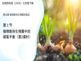 5.12.2 植物維持生物圈中的碳氧平衡 第2課時(shí)課件 生物蘇科版（2024）七年級(jí)下冊(cè)第五單元