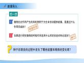 5.12.2 植物維持生物圈中的碳氧平衡 第2課時(shí)課件 生物蘇科版（2024）七年級(jí)下冊(cè)第五單元