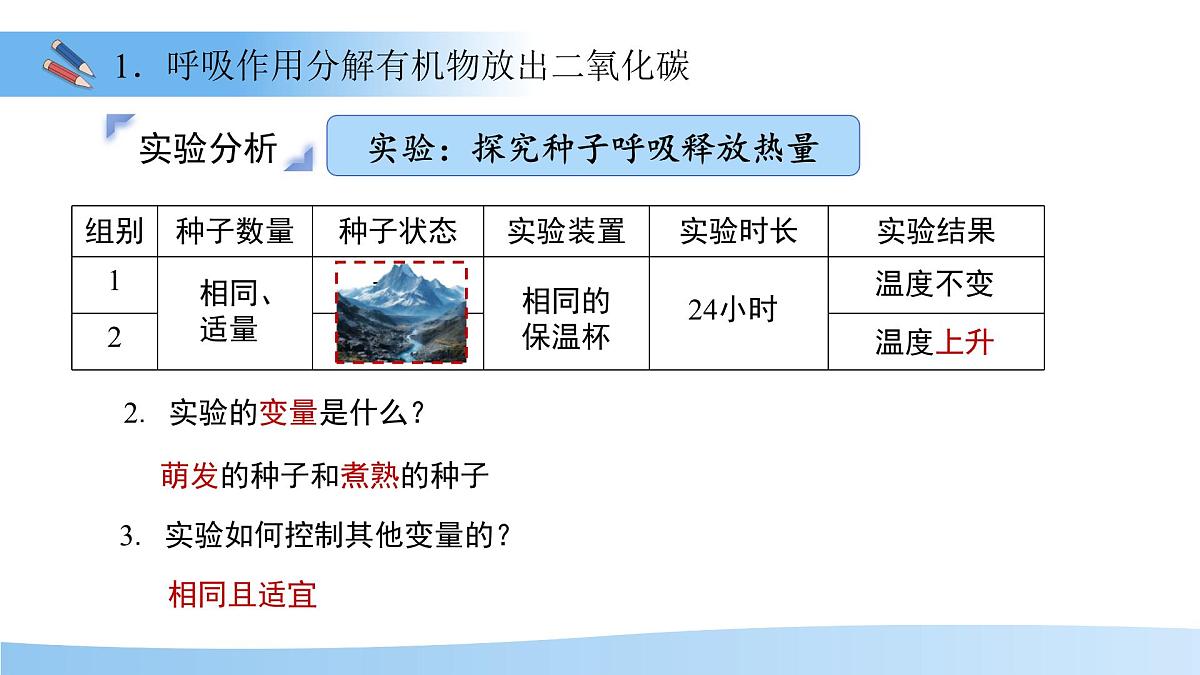 5.12.2 植物维持生物圈中的碳氧平衡 第2课时课件 生物苏科版（2024）七年级下册第五单元第7页