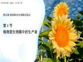 5.12.1 植物是生物圈中的生產(chǎn)者 課件 生物蘇科版（2024）七年級(jí)下冊(cè)第五單元