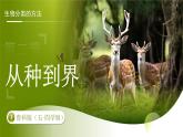 3.4.2 第二節(jié) 從種到界 課件 生物魯科版（2024）七年級下冊第四章