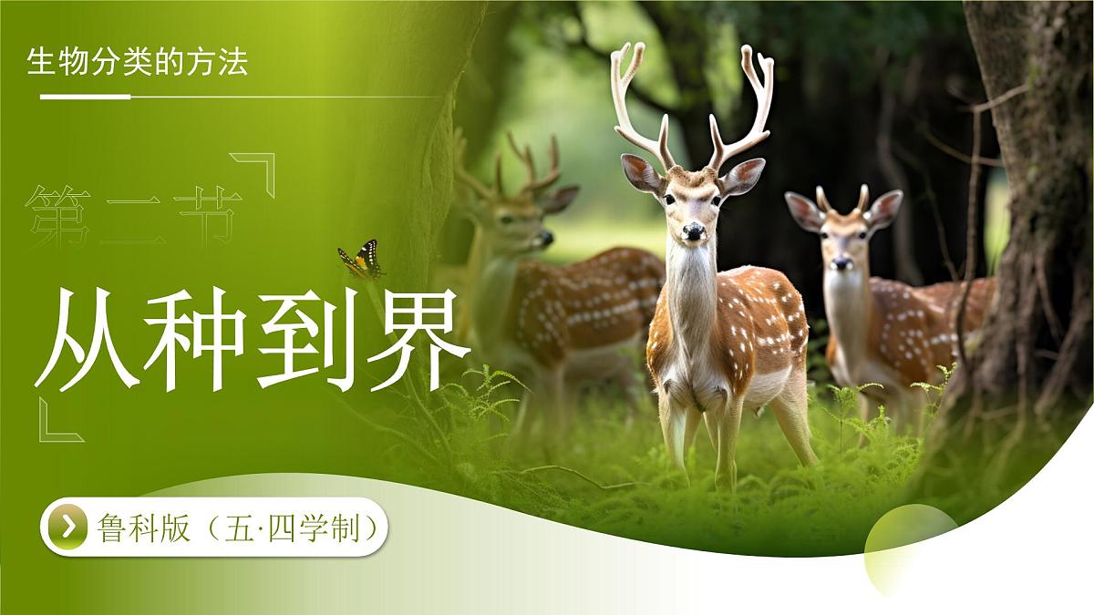 3.4.2 第二节 从种到界 课件 生物鲁科版（2024）七年级下册第四章第1页