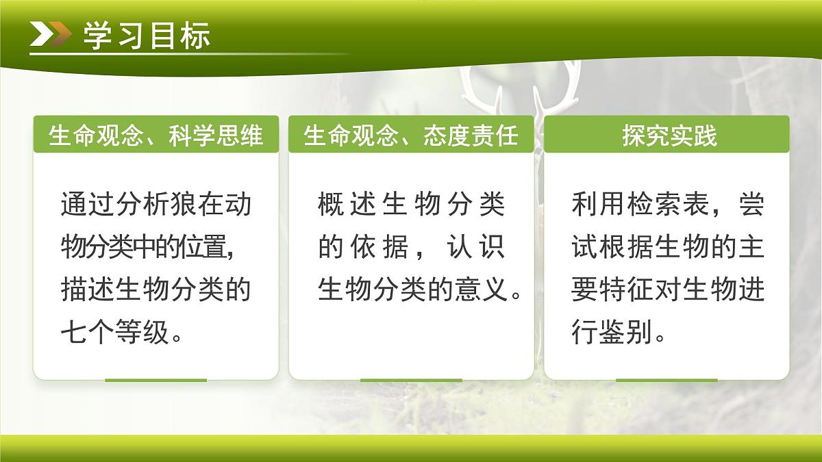 3.4.2 第二节 从种到界 课件 生物鲁科版（2024）七年级下册第四章第2页