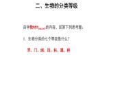第二節(jié) 從種到界 課件 生物魯科版五四制（2024）六年級下冊第四章