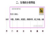 第二節(jié) 從種到界 課件 生物魯科版五四制（2024）六年級下冊第四章