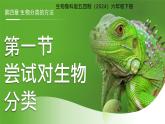 3.4.1 嘗試對生物分類 課件 生物魯科版五四制（2024）六年級下冊