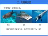 嘗試對生物分類 第2課時 課件 生物魯科版五四制（2024）七年級下冊