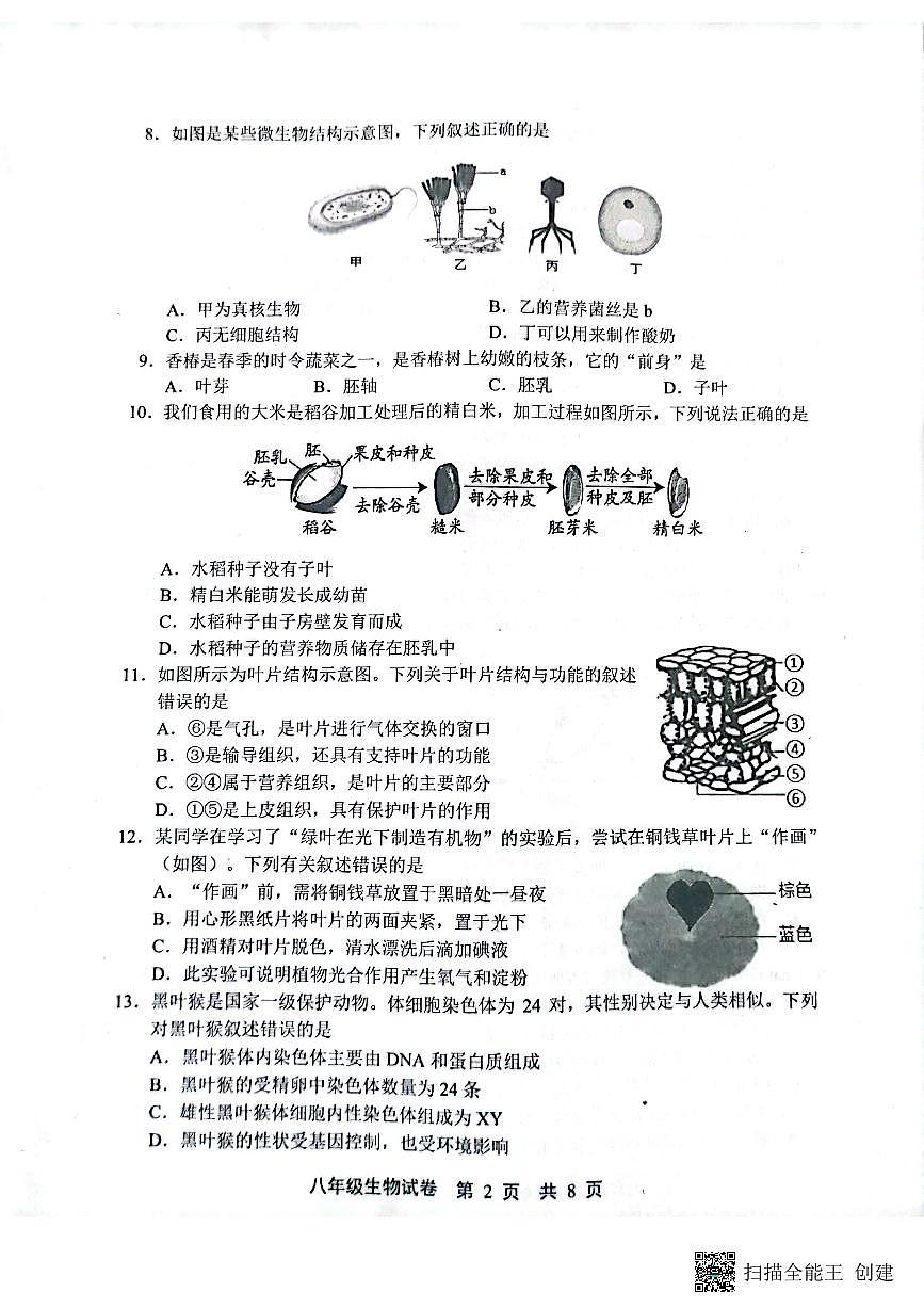 2024年河北省唐山市路北区中考模拟预测生物试题第2页