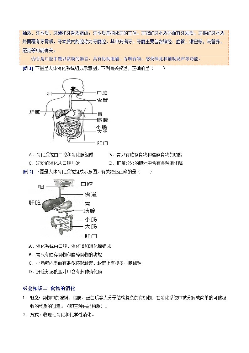 12.2 消化和吸收（提升讲义）（原卷版）-2025-2026学年八年级生物上册（苏教版2024）第2页