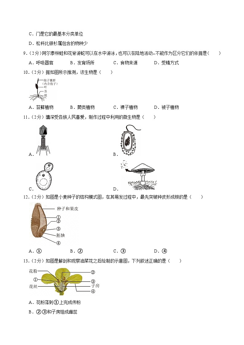 2025年新疆生产建设兵团中考生物试卷及答案第2页