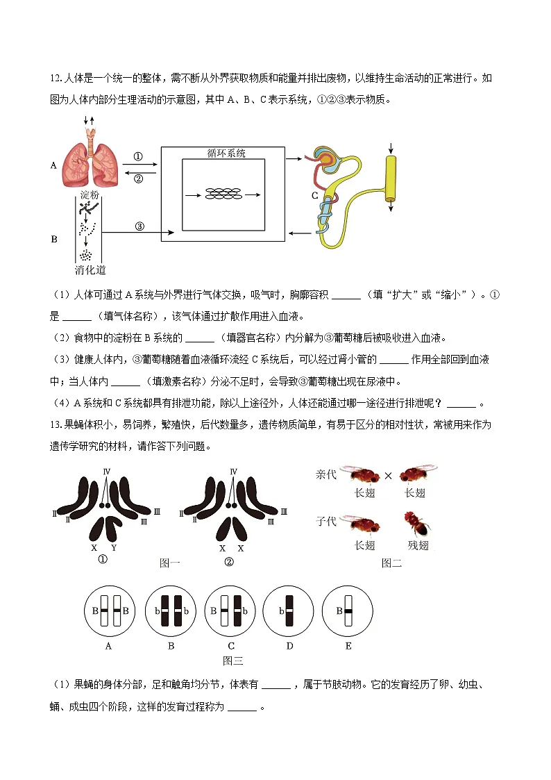 2025年甘肃省白银市中考生物模拟试卷第2页