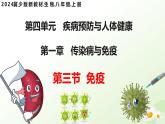 4.1.3 免疫（教學(xué)課件）生物冀少版2024八年級(jí)上冊(cè)
