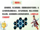4.1.3 免疫（教學(xué)課件）生物冀少版2024八年級(jí)上冊(cè)