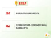 4.1.3 免疫（教學(xué)課件）生物冀少版2024八年級(jí)上冊(cè)
