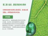 1.2.1 細胞的分裂（教學課件）生物冀少版2024七年級上冊
