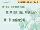 1.2.1 細胞的分裂（教學課件）生物冀少版2024七年級上冊