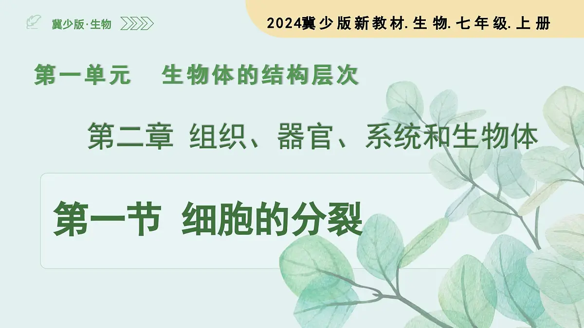 1.2.1 细胞的分裂（教学课件）生物冀少版2024七年级上册第3页