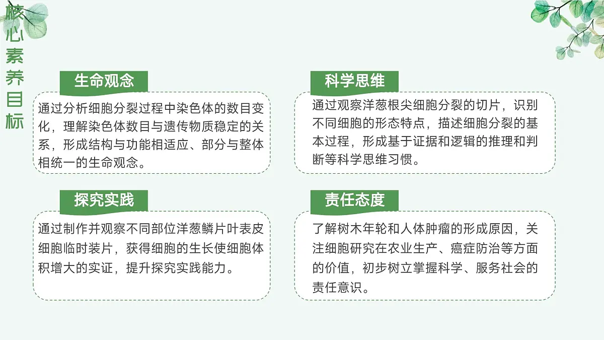 1.2.1 细胞的分裂（教学课件）生物冀少版2024七年级上册第5页