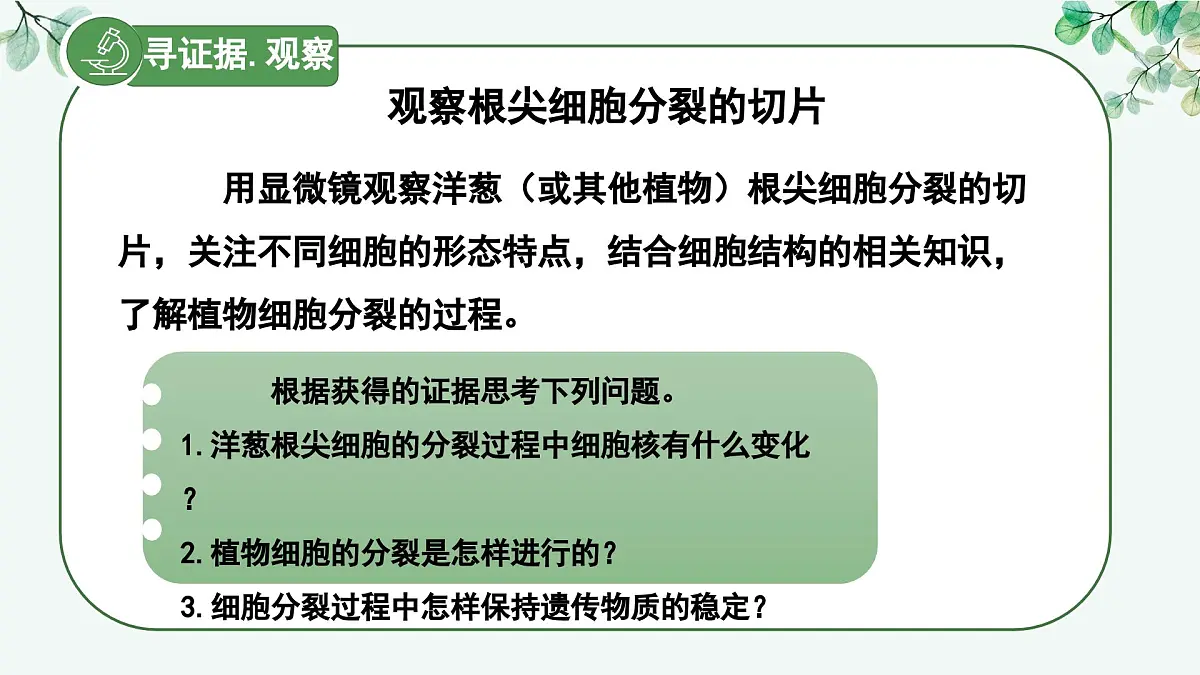 1.2.1 细胞的分裂（教学课件）生物冀少版2024七年级上册第7页