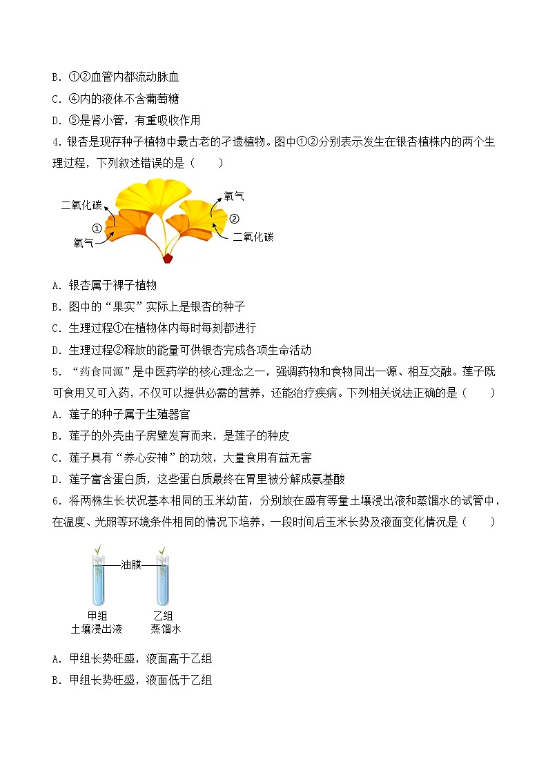 人教版七年级生物下册期末复习练习题（含答案）第2页