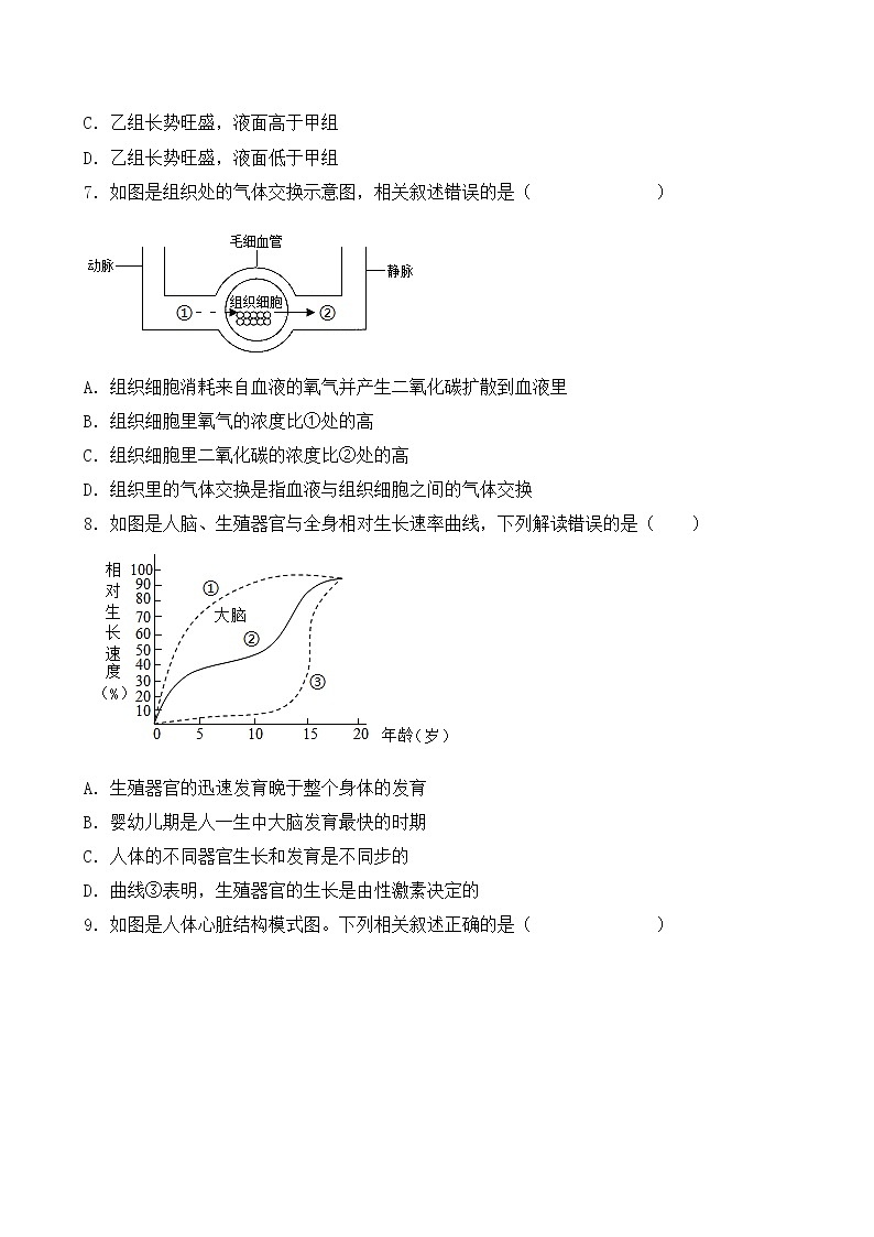 人教版七年级生物下册期末复习练习题（含答案）第3页