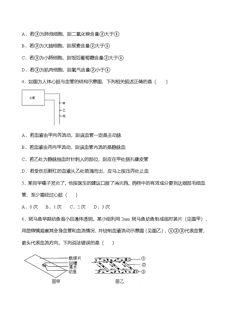 人教版七年级生物下册期末复习练习题（含答案）第2页