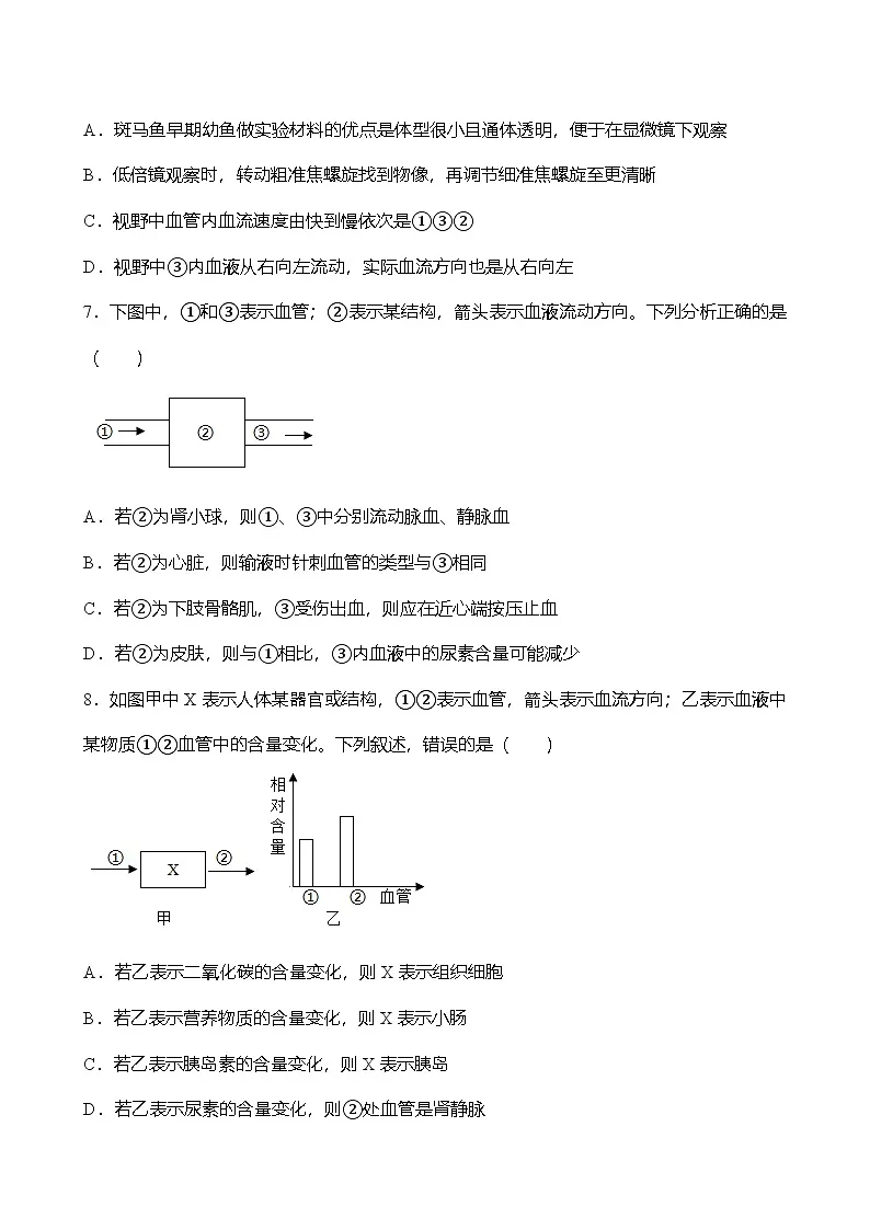 人教版七年级生物下册期末复习练习题（含答案）第3页