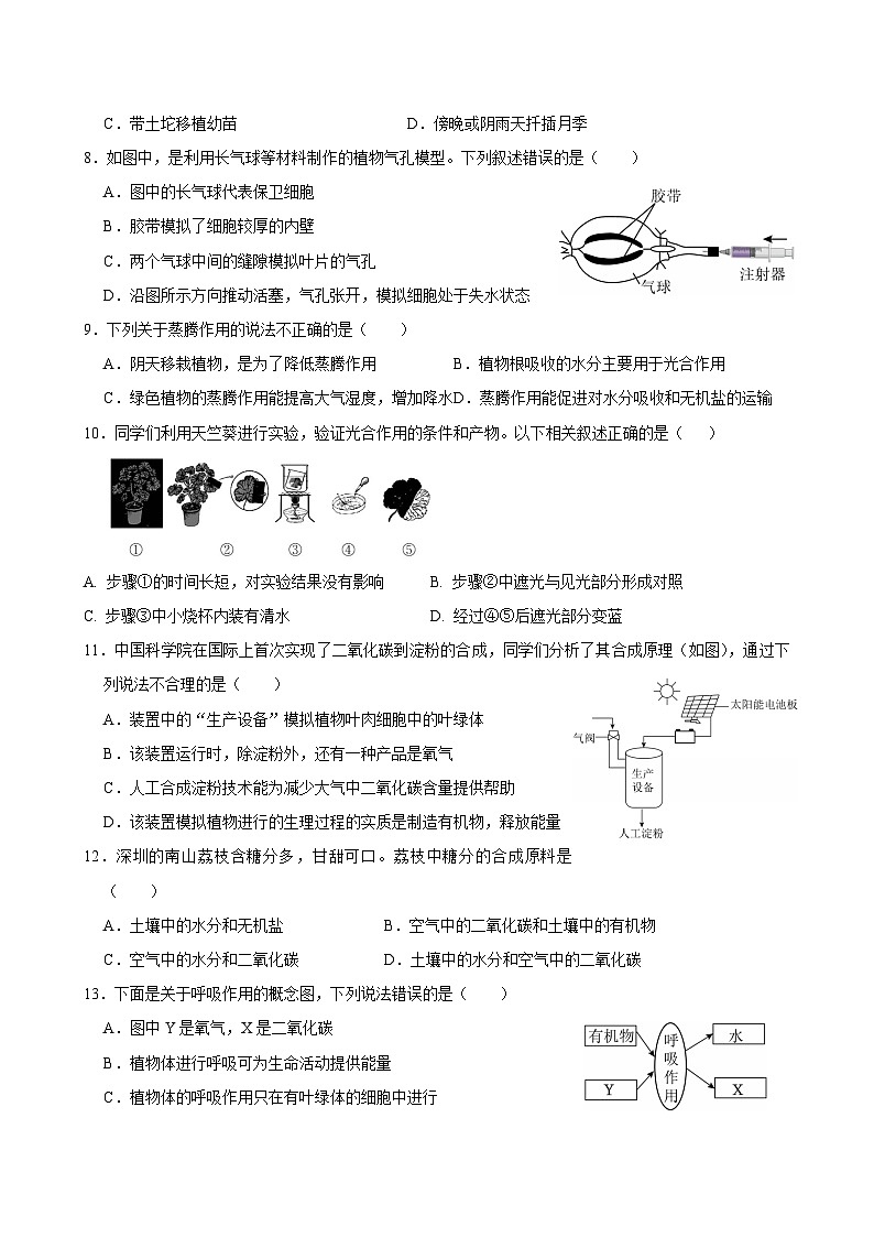 人教版七年级生物下册期末复习练习题（含答案）第2页