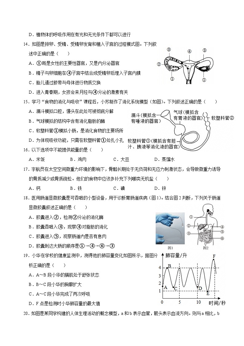 人教版七年级生物下册期末复习练习题（含答案）第3页