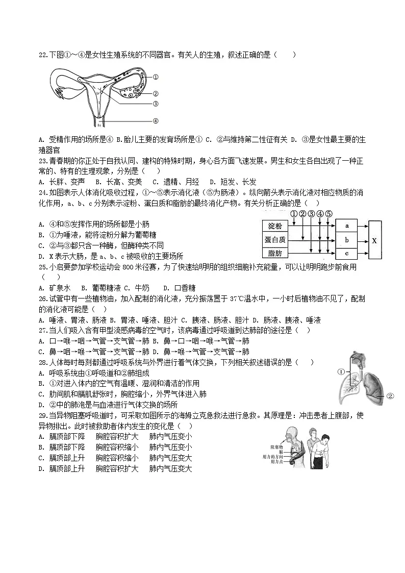 人教版七年级生物下册期末复习练习题（含答案）第3页