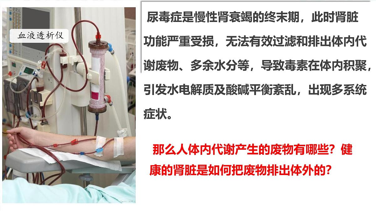 4.5 人体内废物的排出 课件 2024-2025学年人教版生物七年级下册第1页
