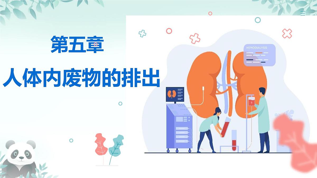 4.5 人体内废物的排出 课件 2024-2025学年人教版生物七年级下册第2页