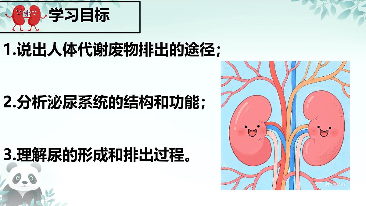 4.5 人体内废物的排出 课件 2024-2025学年人教版生物七年级下册第3页