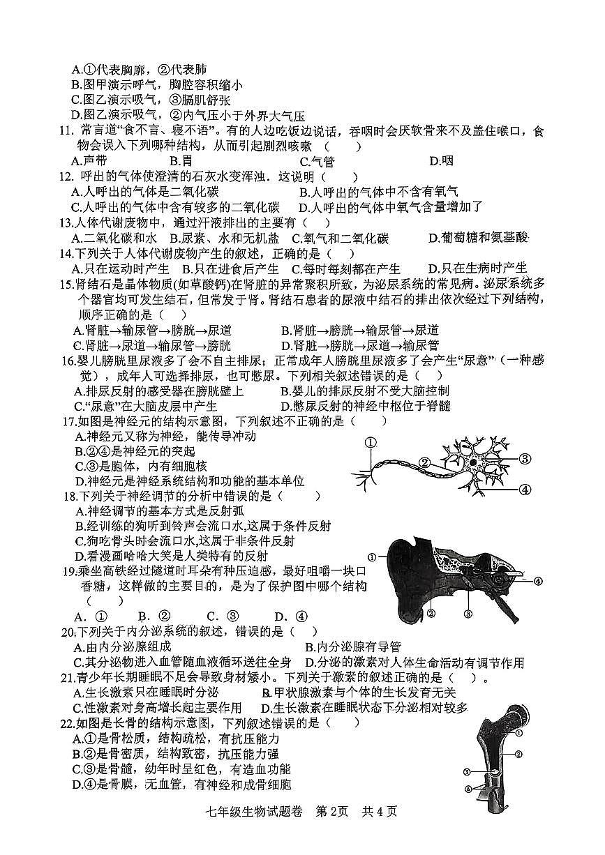 安徽省宿州市部分学校2024-2025学年七年级下生物期末试卷第2页